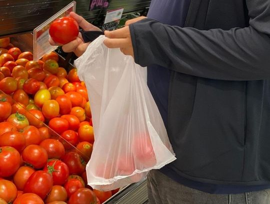 Z danych resortu środowiska wynika, że jeszcze przed wprowadzeniem opłaty statystyczny Polak zużywał około 300 toreb foliowych rocznie.