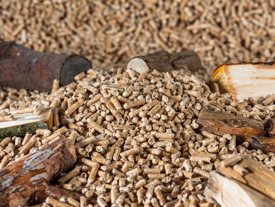 Pellet wysokiej jakości – jak rozpoznać, co warto kupić? Piecyki na pellet a wybór opału