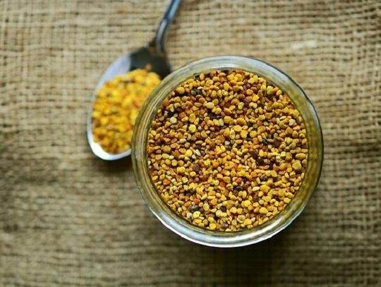 Pierzga pszczela - jesienny must have