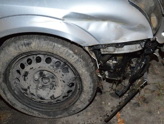 Pijany zniszczył auto na krzewie bzu