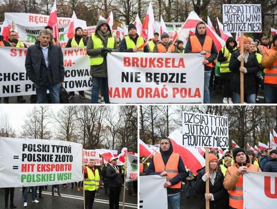 Protest plantatorów tytoniu w Warszawie, 3 listopada 2025 r.