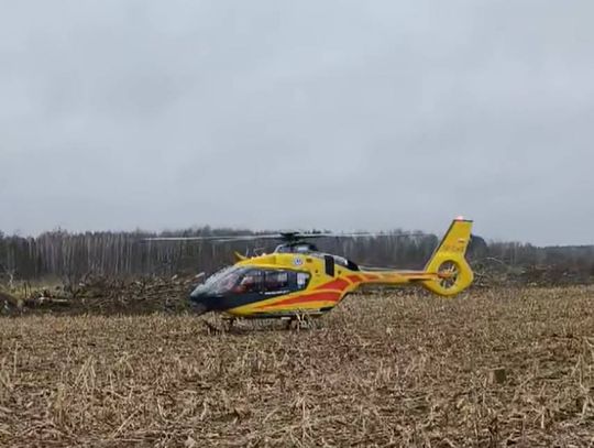 Podczas wycinki upadające drzewo uderzyło mężczyznę.