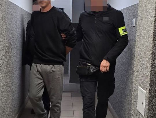 Podpalenia, kradzież auta i nękanie rodziny — 37-latek z biłgorajskiego za kratami aresztu [VIDEO]