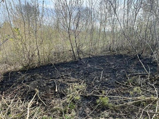 Pijany 49-latek z Gminy Trzeszczany podpalił trawę i myślał, że jest bezkarny.