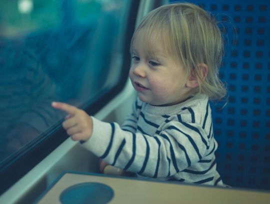 Debata o strefach bez dzieci w pociągach (i nie tylko) dzieli Polaków.