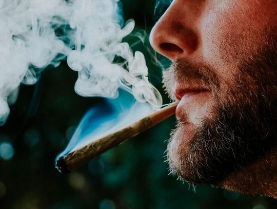 Wbrew intencjom ustawodawców restrykcje wprowadzone przez Ministerstwo Zdrowia wcale nie zahamowały rosnącej popularności marihuany medycznej.