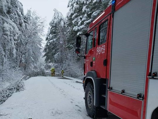 Strażacy z OSP Tarnawatka usuwali w niedzielę drzewa na trasie Tarnawatka-Pańków-Szarowola.