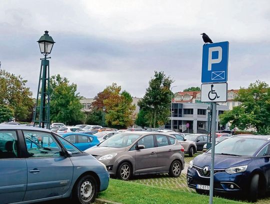 Ponad milion złotych kary kierowcy zapłacili za brak biletów. Dojdą kolejne płatne parkingi w Zamościu Ponad milion złotych kary kierowcy zapłacili za brak biletów. Dojdą kolejne płatne parkingi w Zamościu