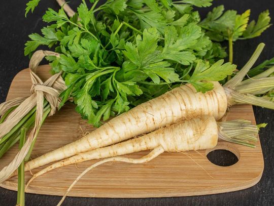 Porady dla ogrodników: Uprawa pietruszki naciowej i korzeniowej