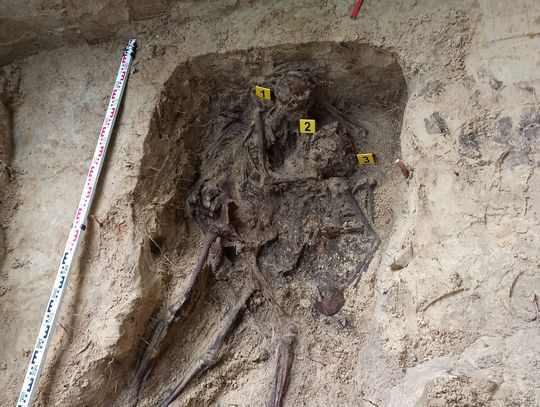 pow. biłgorajski: Odnaleziono żołnierskie mogiły [ZDJĘCIA]