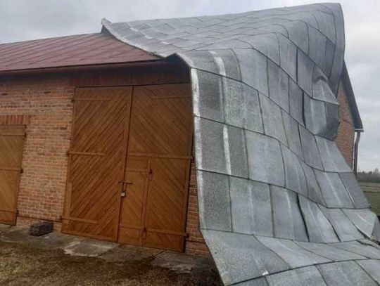 Powiat hrubieszowski: Mocno wiało, zrywało dachy, przewracało drzewa