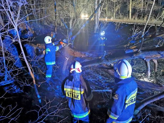 Powiat zamojski: Strażacy usuwali skutki wichury. Jakie szkody wyrządził wiatr?