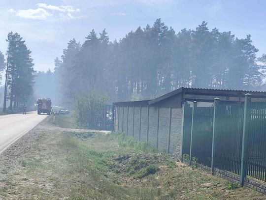 Przytulisko w Józefowie znajduje się zaledwie 13 kilometrów od wsi Kozaki, gdzie wybuchł pożar, który rozprzestrzenił się na kilkaset hektarów Puszczy Solskiej. Wolontariusze zdecydowali się na ewakuację psów.