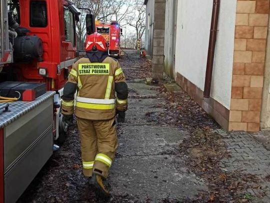 Pożar w opuszczonym warsztacie samochodowym w Hrubieszowie