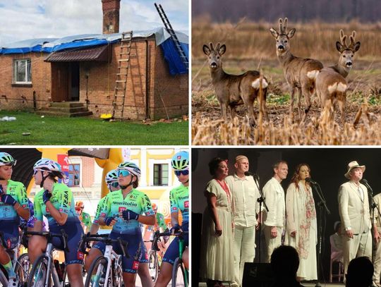 Przegląd najważniejszych wiadomości opublikowanych w Kronice Tygodnia 12 sierpnia 2025 r.