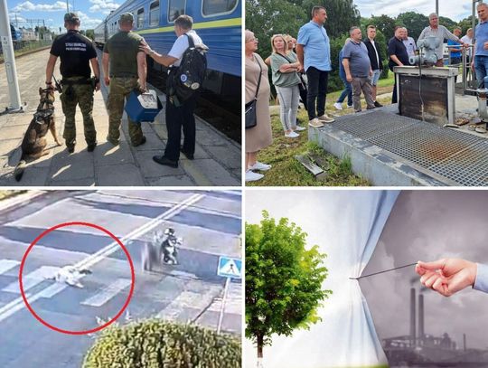 Przegląd najważniejszych wiadomości opublikowanych w Kronice Tygodnia 13 sierpnia 2025 r.