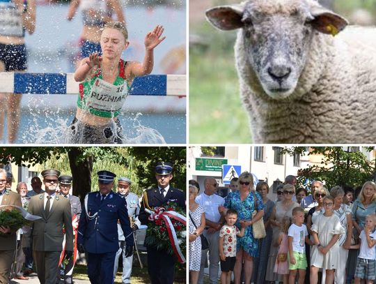 Przegląd najważniejszych wiadomości opublikowanych w Kronice Tygodnia 15 sierpnia 2025 r.