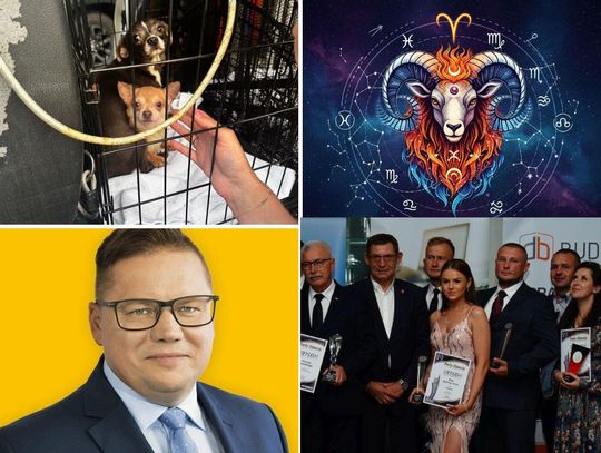 Przegląd najważniejszych wiadomości opublikowanych w Kronice Tygodnia 27 lipca 2025 r.