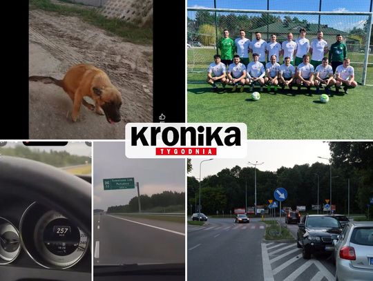 Oto przegląd najciekawszych wiadomości, które opublikowaliśmy 4 sierpnia 2026 na stronie internetowej Kroniki Tygodnia.
