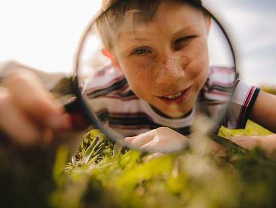 Przydomowy ogród – sprawdź jak pozbyć się z niego insektów