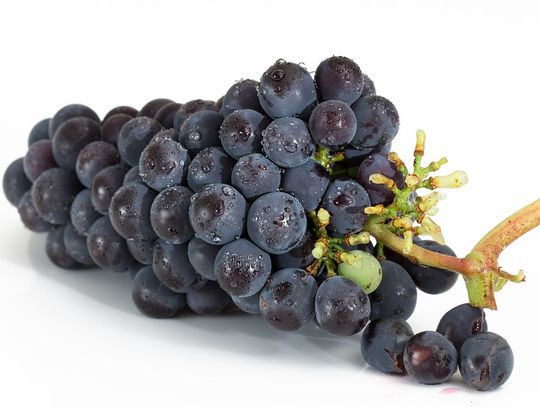 Puszysty deser z winogronami, przepis Katarzyny Kuliś z Lubnowa