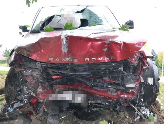 Radzięcin: Nietrzeźwa kierująca uderzyła w drzewo