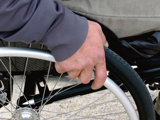 W zeszłym roku świadczenie wspierające z ZUS pobierało prawie 15 tys. osób z województwa lubelskiego. Fot. pixabay.com