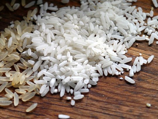 Roladki ryżowe, przepis Katarzyny Kuliś z Lubnowa