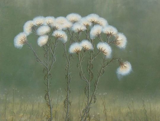 Roztocze w malarstwie Dariusza Króla. Wystawa w Szczebrzeszynie już od 1 maja