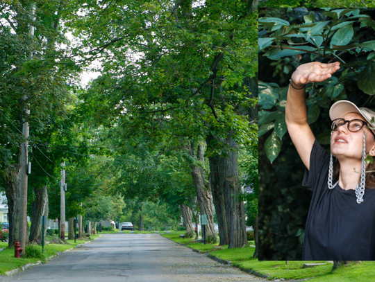 W puli jest 10 milionów złotych. Maja pomóc samorządom przygotować się np. na suszę czy gwałtowne opady. Rozpoczął się właśnie nabór wniosków.