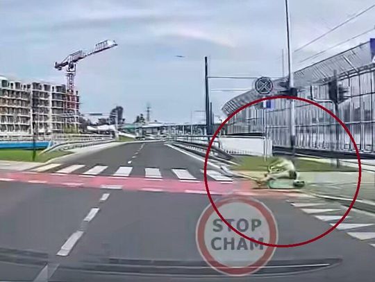 Setki wypadków, ponad 130 rannych. Tegoroczny bilans e-hulajnóg