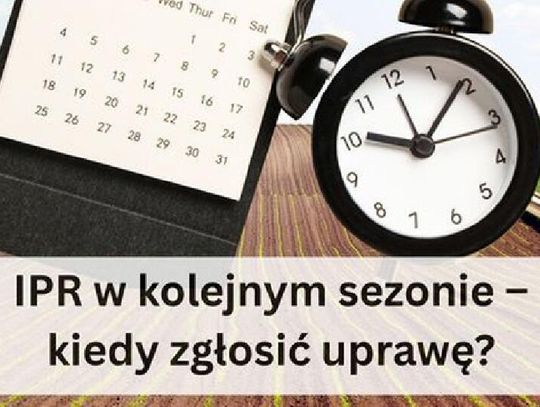 Siejesz oziminy takie jak pszenica, jęczmień, pszenżyto? Czy jesteś producentem rzepaku?