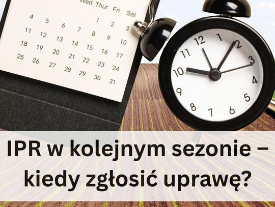 Siejesz oziminy takie jak pszenica, jęczmień, pszenżyto? Czy jesteś producentem rzepaku?