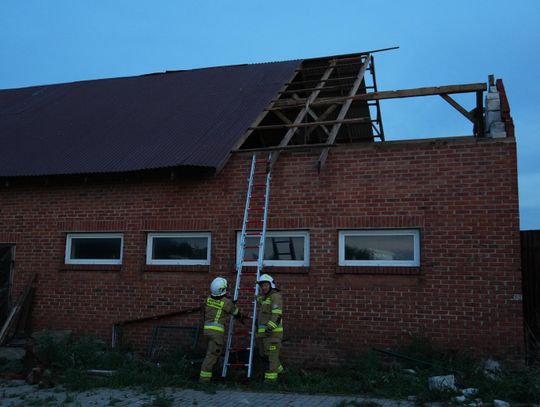 Burza nad powiatem zamojskim. 21 interwencji strażaków