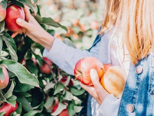 Sklepy grają na ostro z rolnikami.