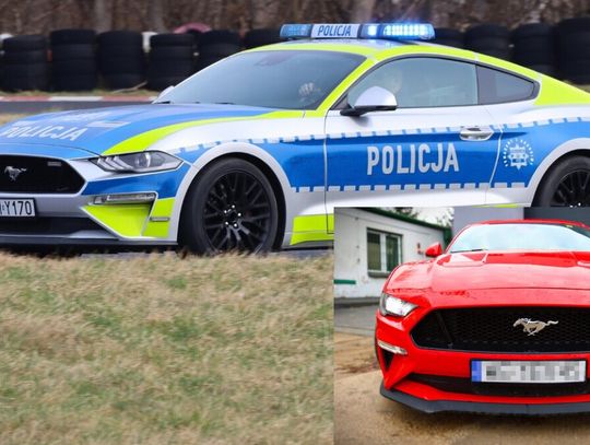 Ford Mustang GT od wczoraj oficjalnie służy w policji. To pierwszy radiowóz w Polsce, który wcześniej został skonfiskowany pijanemu kierowcy.