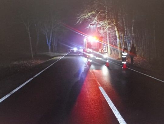 Do śmiertelnego wypadku drogowego doszło wczoraj w miejscowości Kostry w powiecie parczewskim.