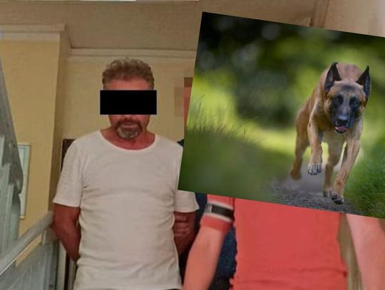 Sądowy finał strasznego zdarzenia. Dwa psy uciekły z posesji i zagryzły mężczyznę. Sąd Najwyższy właśnie odrzucił kasację właściciela zwierząt, który został skazany na więzienie.