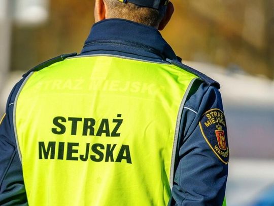 Strażnicy miejscy będą mogli rejestrować więcej sytuacji za pomocą kamer nasobnych. Tak jak to robią policjanci.