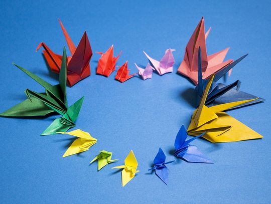 Sułów: Anna Kozioł laureatką konkursu origami