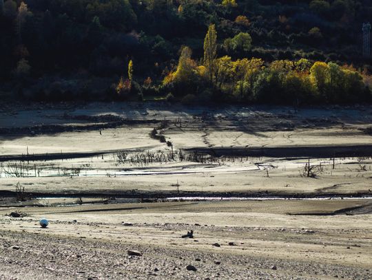 Brak opadów tylko pogłębia suszę – według danych ze stacji w Ciciborze, w ciągu ostatniej doby spadło zaledwie 0,5 mm deszczu.