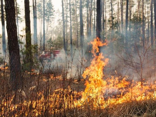 Ekstremalnie suchy marzec i słabe opady w kwietniu pogarszają sytuację wodną w Polsce.