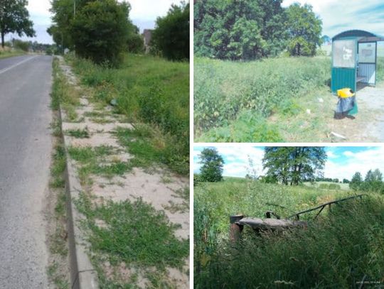 Świdniki: Zarośnięta wizytówka gminy. Park podworski tonie w zaroślach