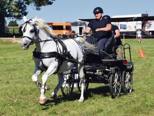 Święto Konia w Sitnie. Były skoki przez przeszkody, zawody zaprzęgowe i inne atrakcje