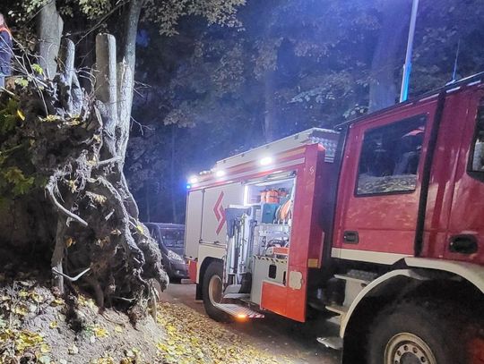 Szczebrzeszyn: Wiadomo, że znalezione szczątki należą do trzech mężczyzn