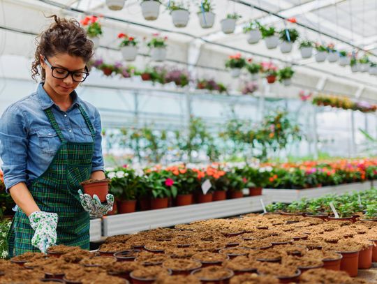Szukasz legalnej pracy w Holandii? Oferty już na Ciebie czekają!