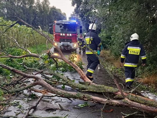 OSP Bełżec II przed godz. 19 zostało zadysponowane do usunięcia powalonego drzewa na drodze gminnej w Hrebennem.