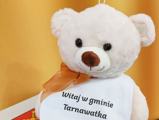 Miś z „Tarnawackiej paczki dla niemowlaczka”.
