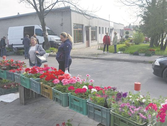 Wiosenny Kiermasz Kwiatów i Krzewów w Telatynie to wyjątkowo ciekawa i oryginalna inicjatywa.