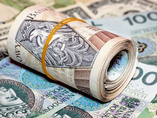 Tym razem Agnieszka H. podejrzana jest o wyłudzenie prawie 180 tys. zł i próbę wyłudzenia kolejnych 54 tys. zł. Fot. pixabay